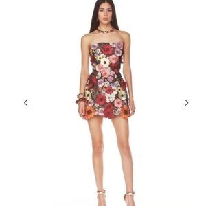 Authentic New BRONX and BANCO BOUQUET MARAYA MINI DRESS, S and XS available
